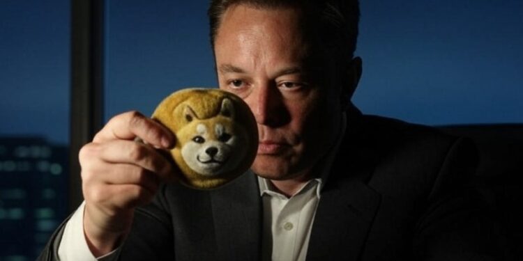 Elon Musk ha influenciado abiertamente a Dogecoin. Fuente: Grok.