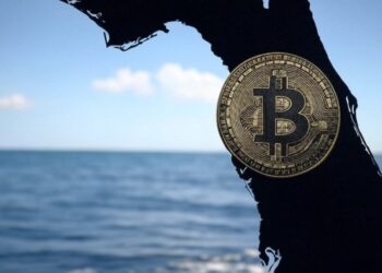 Florida se une a un total de 19 estados que han presentado proyectos de ley para conformar reservas de bitcoin. Fuente: Grok.