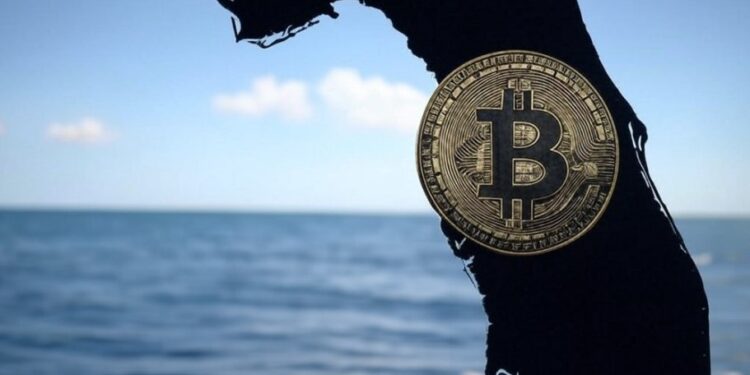 Florida se une a un total de 19 estados que han presentado proyectos de ley para conformar reservas de bitcoin. Fuente: Grok.