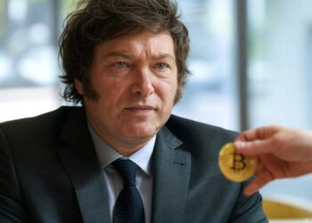 Javier Milei cometió el error de ignorar a Bitcoin durante demasiado tiempo. Fuente: Grok.