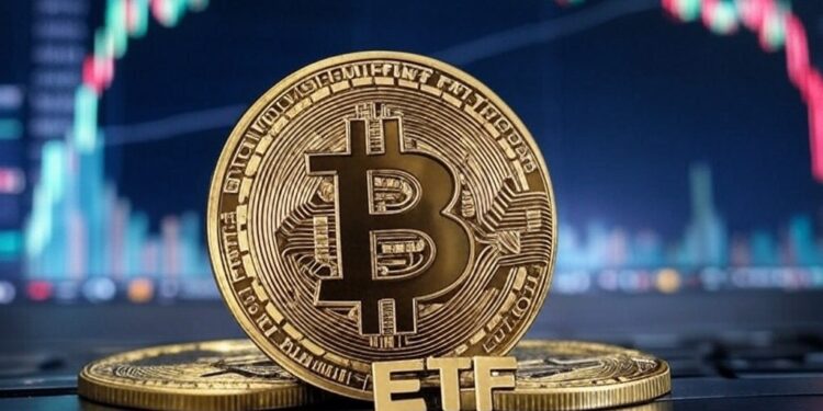Las salidas de capital en los ETF de bitcoin influyen en el precio de la moneda. Fuente: Grok.
