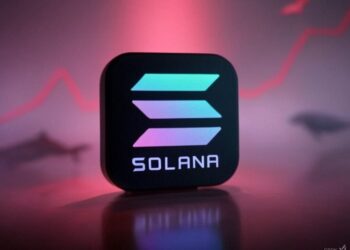 Las ballenas impactan al mercado de solana. Fuente: Grok.
