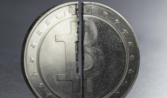 “Las memecoins son la hiper-shitcoinización de las criptomonedas”
