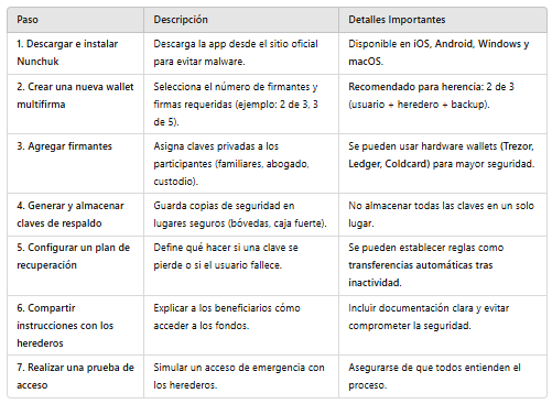 Imagen que especifica paso a paso como se configura la wallet Nunchuk