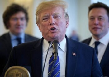 La relación de Trump con Milei y Musk tiene ciertas inconsistencias que, de no estar, los mercados se verían favorecidos. Fuente: Grok.