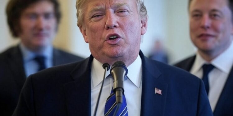 La relación de Trump con Milei y Musk tiene ciertas inconsistencias que, de no estar, los mercados se verían favorecidos. Fuente: Grok.