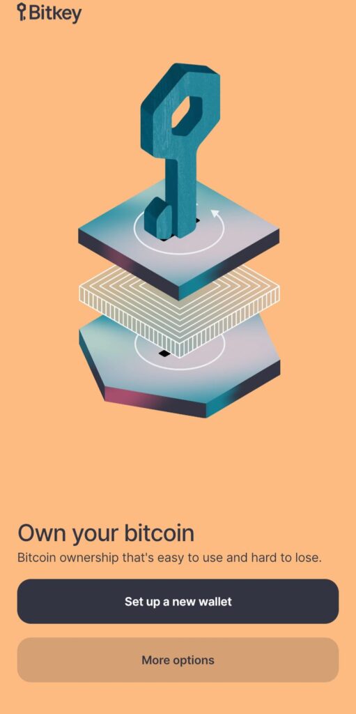 Imagen del inicio de sesión de la wallet en aplicación móvil