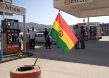 La decisión de recurrir a criptomonedas refleja un cambio en la estrategia económica de Bolivia. Fuente: Grok.