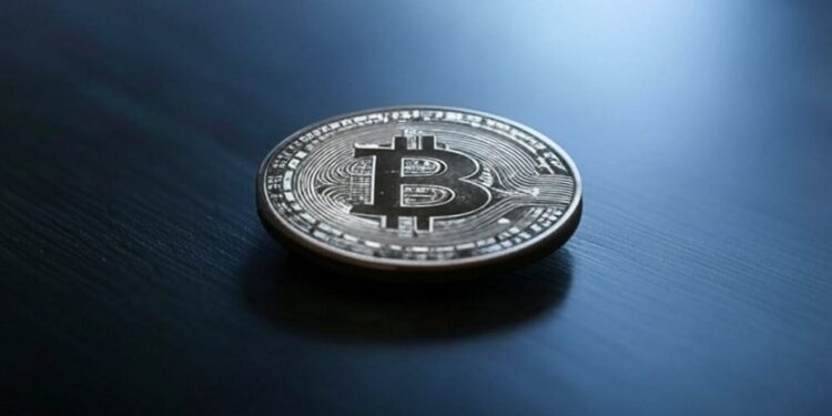 Muchos comités carecen de experiencia en criptomonedas. Fuente: Grok.