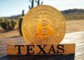 Para bitcoin, la adopción por parte de Texas significa un respaldo institucional de una magnitud sin precedentes a nivel estadal. Fuente: Grok.