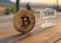 La iniciativa refleja el interés creciente del estado en integrar criptomonedas a su estrategia económica. Fuente: Grok.