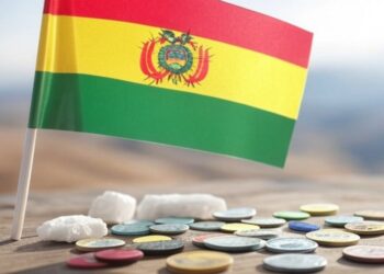 El proyecto consiste en fraccionar el litio producido en el país y transformarlo en tokens. Fuente: Grok.