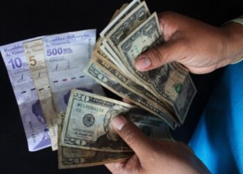 Una fotografía de alguien manejando dólares y bolívares en efectivo.