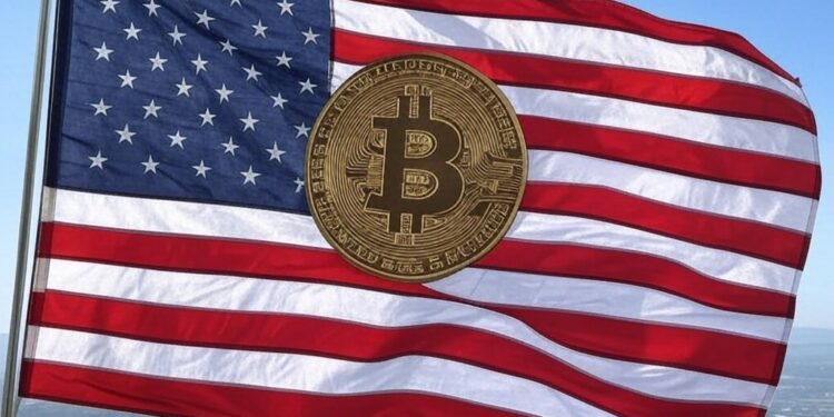 La estrategia de Donald Trump abre nuevos horizontes para la criptomoneda líder, pero también genera algo de incertidumbre. Fuente: Grok.