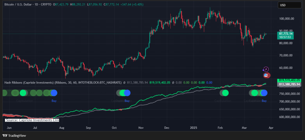 Gráfico diario del precio de bitcoin junto al indicador Hash Ribbons.