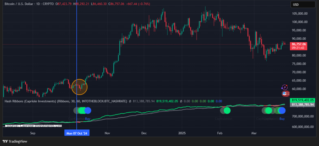 Gráfico diario del precio de bitcoin junto al indicador Hash Ribbons.