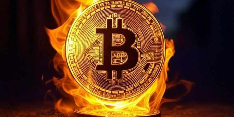 Proponen quemar los bitcoins vulnerables a la cuántica. Fuente: Grok.