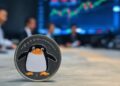 moneda de pengu sobre una mesa.