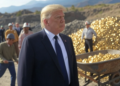 Trump revivirá la fiebre del oro en las criptomonedas. Fuente: GROK.