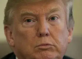El enfoque de Trump para la reserva de criptoactivos genera tanto esperanza como escepticismo en la industria. Fuente: Grok