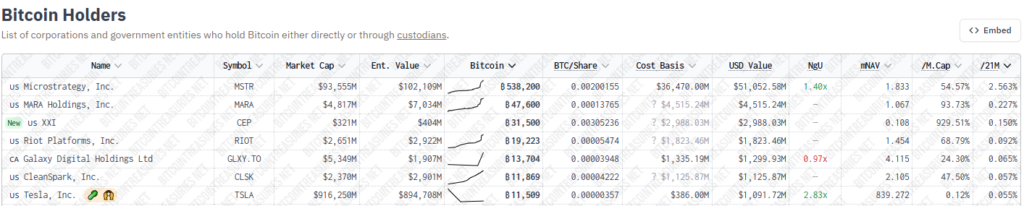Strategy liderando la lista de principales acumuladores de bitcoin.