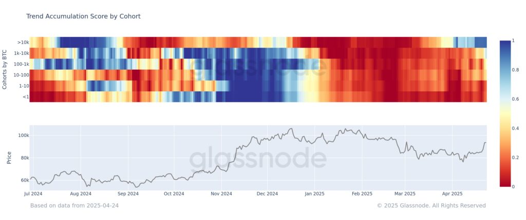 Gráfico de tendencia de compras o ventas de los inversionistas de bitcoin, según su tamaño.