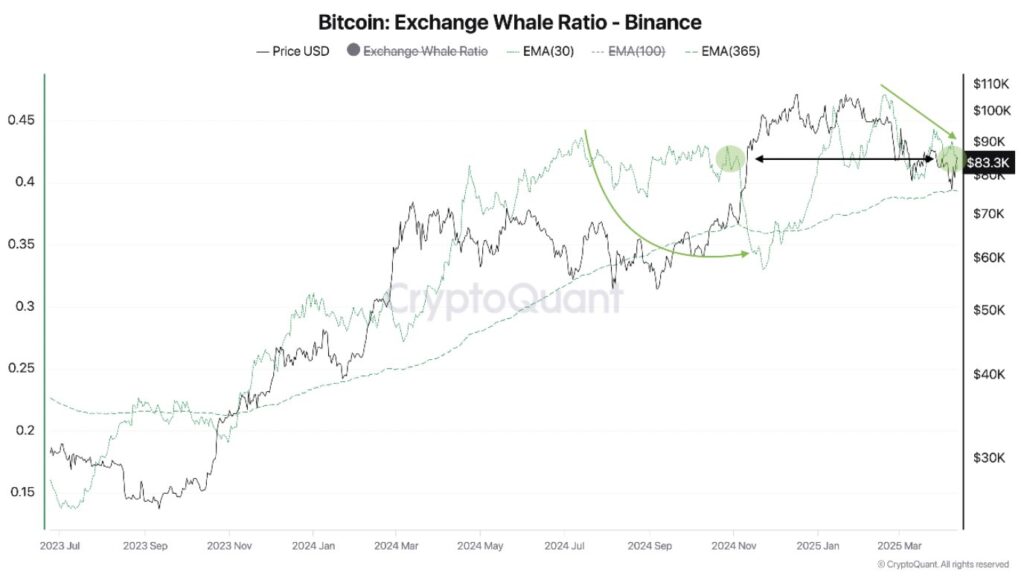 Gráfico del dominio de entradas de ballenas en Binance