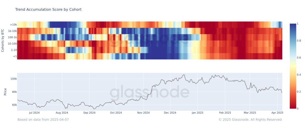 Gráfico de la tendencia de compra-venta de las ballenas y los inversionistas de bitcoin más pequeños.
