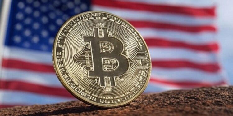 Imagen generada por la IA Grok de Bitcoin y la bandera de Estados Unidos.