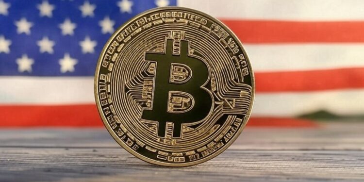 Imagen generada por la IA Grok de Bitcoin y la bandera de Estados Unidos.