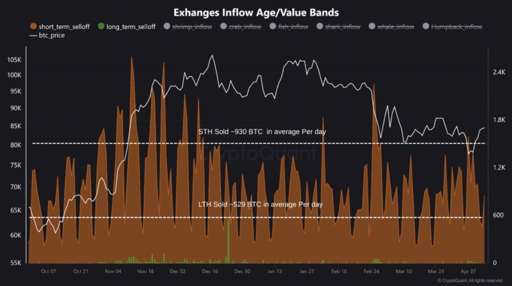 Gráfico de entradas a exchanges de inversionistas de corto y largo plazo.