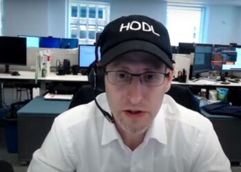 Un ejecutivo de VanEck en una entrevista por videollamada.