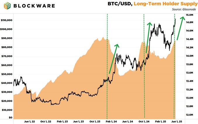 Grafico de las tenencias de holders de largo plazo de bitcoin.