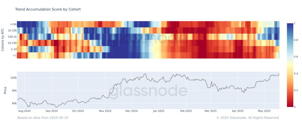 Captura de pantalla de un gráfico de Glassnode sobre acumulación de BTC.