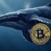 La influencia de las ballenas de bitcoin radica en el volumen de sus operaciones, que reflejan convicción y estrategias a largo plazo. Fuente: Grok.