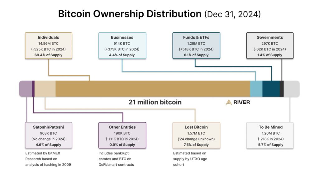 Gráfico que muestra la distribución de bitcoin al 31 de diciembre de 2024.