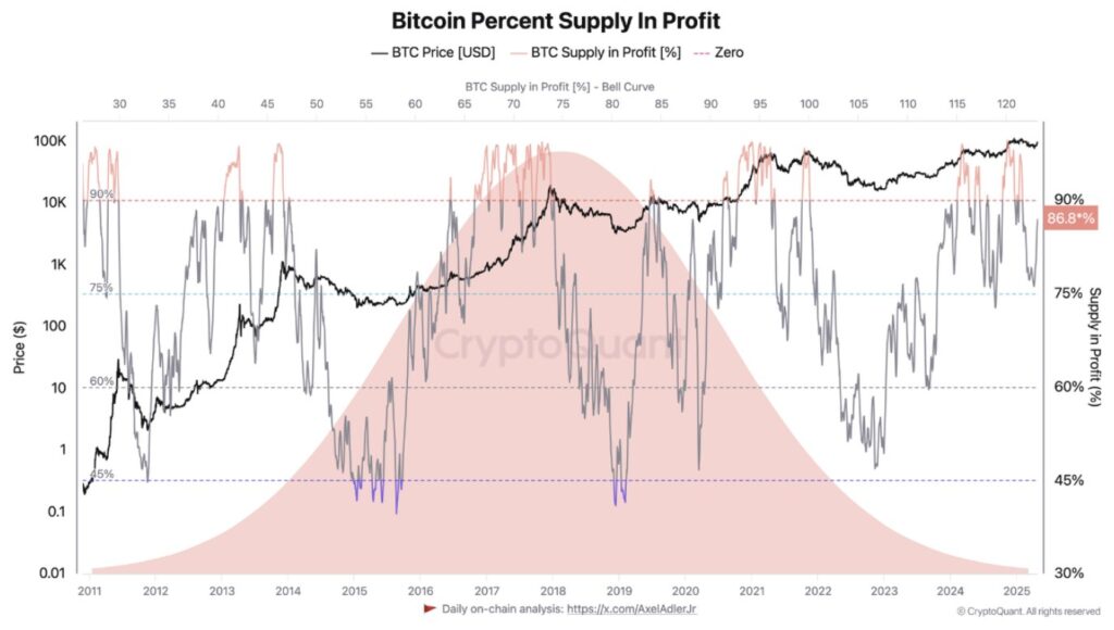Gráfico del porcentaje de monedas de bitcoin en ganancias desde el año 2011.