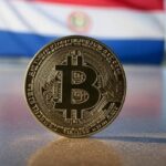 bitcoin y bandera de Paraguay
