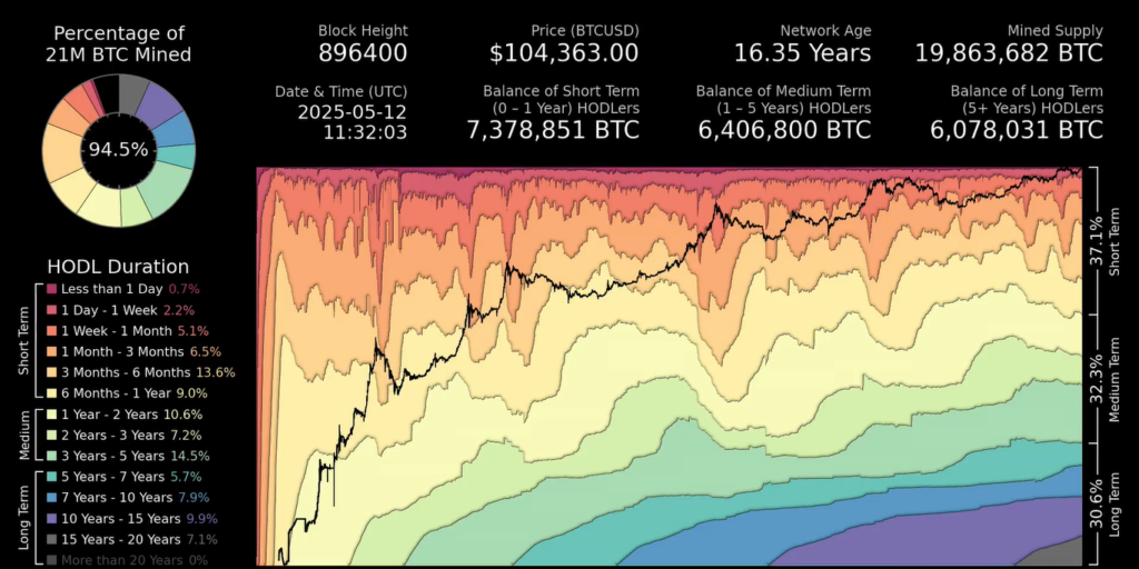 grafico de The Bitcoin Company sobre la distribución de los holders de BTC.
