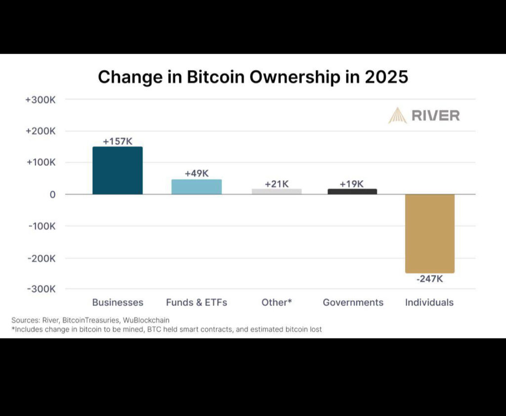 Gráfico de barras que refleja el cambio en la Propiedad de Bitcoin en 2025