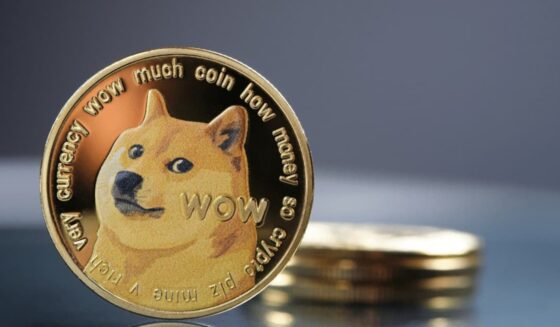 Inversores de DOGE gritan “¡Hold!” y se dan apoyo comunitario