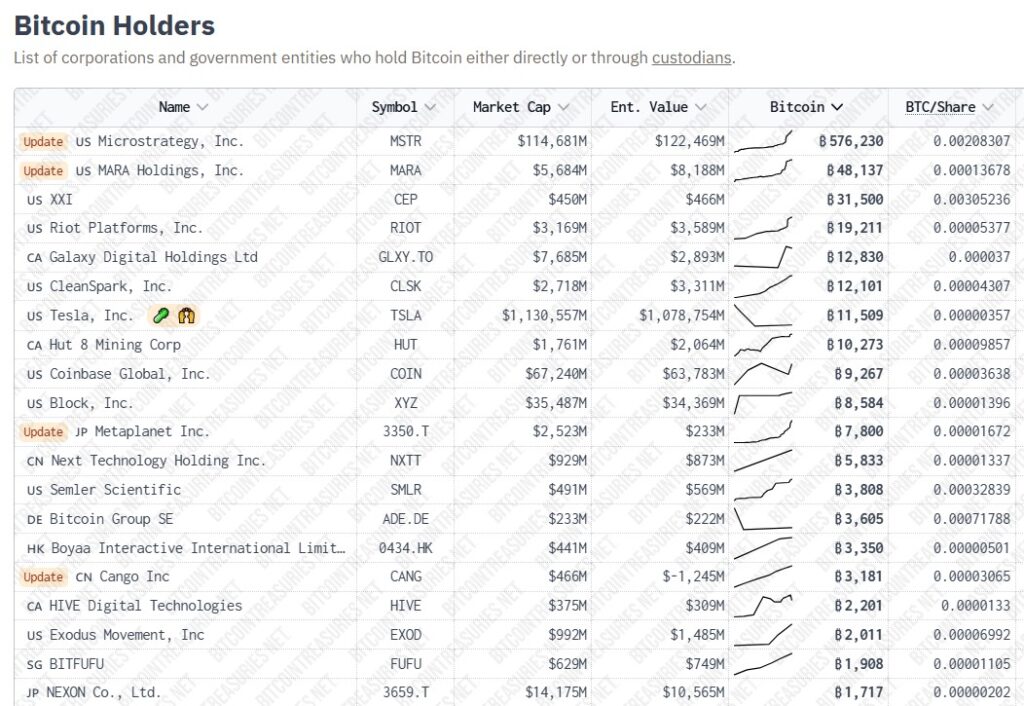 Captura de pantalla del listado de empresas que acumulan BTC.