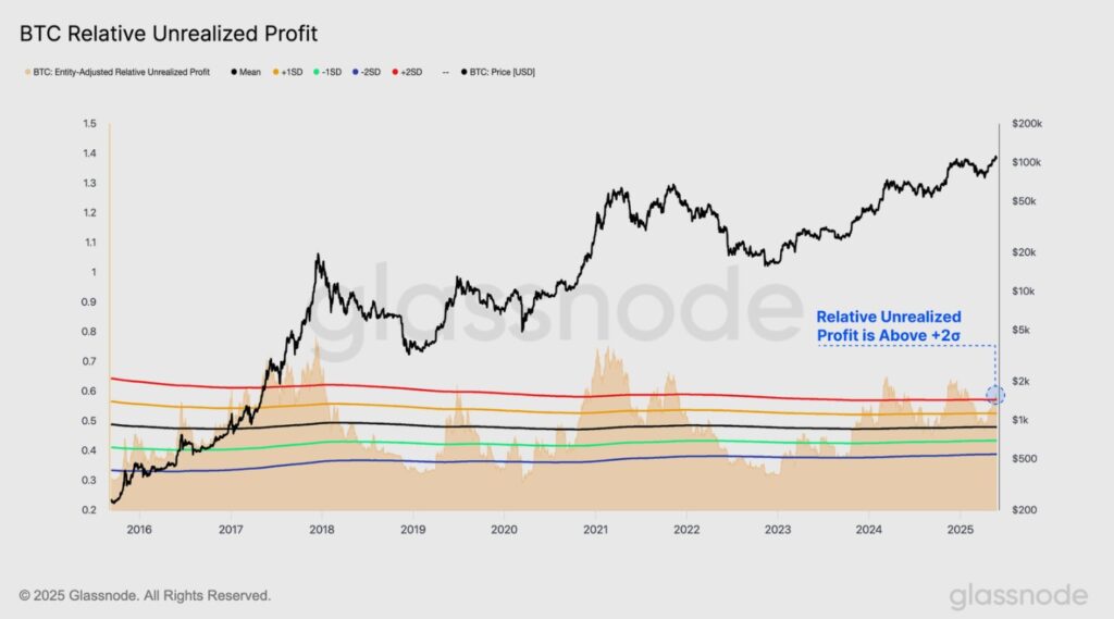 Gráfica de las ganancias no realizadas de bitcoin.