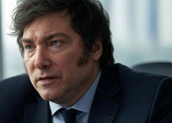 la mayor libertad que ahora argentina da a los usuarios no estaría tan clara