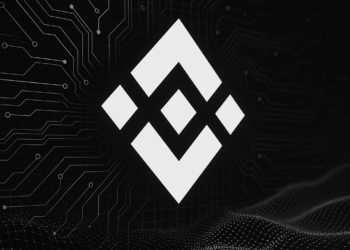 La red BNB Chain en funcionamiento.