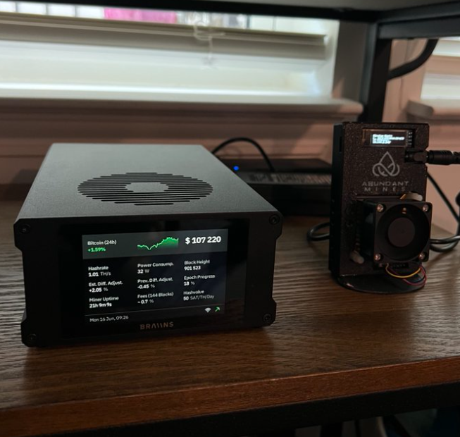 Two Bitcoin Mini Asic.