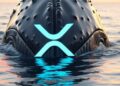 Una ballena de XRP saliendo del mar.