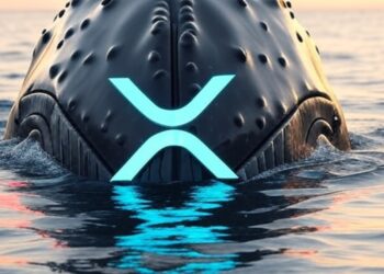 Una ballena de XRP saliendo del mar.