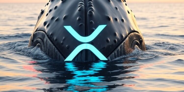 Una ballena de XRP saliendo del mar.
