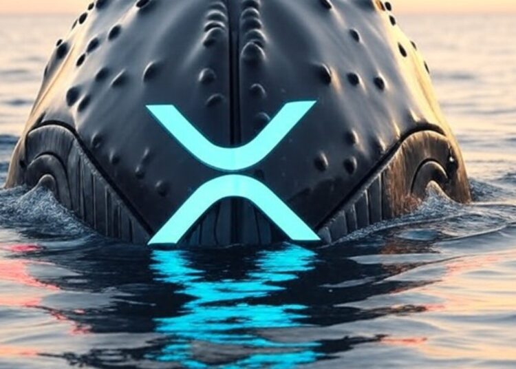 Una ballena de XRP saliendo del mar.